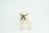 Bulldog, English Bulldog, British, White, Rubber Canine, Hand Painted, Educational, Realistic, K9, Diorama, Figure, Model, Replica, Toys, Kids, Gift, 5 Inches. CH839 BB196