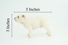 Bulldog, English Bulldog, British, White, Rubber Canine, Hand Painted, Educational, Realistic, K9, Diorama, Figure, Model, Replica, Toys, Kids, Gift, 5 Inches. CH839 BB196
