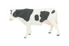 Holstein Dairy Cow, Educational, Hand Painted, Museum Quality, Realistic, Rubber Animal, Realistic, Diorama, Toy, Kids, Gift, 5 Inches. CH849 BB197