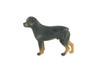 Rottweiler Dog, Educational, Museum Quality, Rubber Canine, Hand Painted, Educational, Realistic, K9, Diorama, Figure, Toys, Kids, Gift, 3 1/2 Inches. CH852 BB198