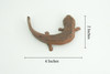 Cryptobranchoidea, Giant Salamander, Hand Painted, Museum Quality, Educational, Rubber Amphibian, Very Realistic, Diorama, Toy, Kids, Gift, 4 Inches. 
