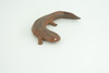 Salamander, Red River Waterdog, Mudpuppy, Museum Quality, Hand Painted, Rubber Amphibian, Realistic Figure, Toy, Kids, Educational, Gift,     4 Inches.  CH858 BB198  