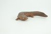 Salamander, Red River Waterdog, Mudpuppy, Museum Quality, Hand Painted, Rubber Amphibian, Realistic Figure, Toy, Kids, Educational, Gift,     4 Inches.  CH858 BB198  