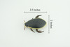 Yellow edged predacious diving beetle, Hand Painted, Museum Quality, Educational, Rubber Insect, Very Realistic, Diorama, Toy, Kids, Gift, 2 1/4 Inches. CH857 BB198