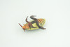 Yellow edged predacious diving beetle, Hand Painted, Museum Quality, Educational, Rubber Insect, Very Realistic, Diorama, Toy, Kids, Gift,   2 1/4 Inches.  CH857 BB198 
