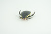 Yellow edged predacious diving beetle, Hand Painted, Museum Quality, Educational, Rubber Insect, Very Realistic, Diorama, Toy, Kids, Gift,   2 1/4 Inches.  CH857 BB198 