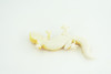 Gecko, Hand Painted, Reptiles, Educational, Museum Quality, Very Nice Rubber Reptile, Realistic Asian Gecko, Diorama, Toys, Kids, Gift,   4 Inches. CH866 BB199 