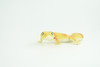 Gecko, Hand Painted, Reptiles, Educational, Museum Quality, Very Nice Rubber Reptile, Realistic Asian Gecko, Diorama, Toys, Kids, Gift,   4 Inches. CH866 BB199 