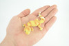 Gecko, Hand Painted, Reptiles, Educational, Museum Quality, Very Nice Rubber Reptile, Realistic Asian Gecko, Diorama, Toys, Kids, Gift, 4 Inches. CH866 BB199