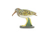 Greater Painted Snipe, Museum Quality, Hand Painted, Realistic, Native Bird to the wetlands of Asia, Africa, Toy, Kids, Educational, Gift, 2 3/4 Inches. CH870 BB199