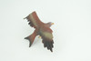 Golden Eagle, Hand Painted, Museum Quality, Educational, Raptor, Realistic Bird of Prey, Rubber, Diorama, Toys, Kids, Gift,     5 Inches.    CH871 BB199