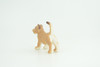 Mountain Lion, Puma Cub, Baby, Museum Quality, Hand Painted, Rubber Animal, Educational, Realistic, Figure, Toy, Kids, Replica, Gift,    2 Inches.  CH874 BB199