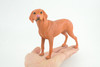 Vizsla Dog, Hand Painted, Educational, Museum Quality, Realistic, Rubber Canine, K9, Hungarian Pointer, Diorama, Figure, Toys, Kids, Gift, 7 Inches. CH877 BB200
