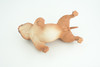 English BullDog,  Brown, Hand Painted, Educational, Museum Quality, Realistic Bull Dog, Solid Rubber, Canine, K9, Diorama, Figure, Toys, Kids, Gift,  5 Inches. CH885 BB201