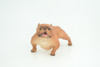 English BullDog,  Brown, Hand Painted, Educational, Museum Quality, Realistic Bull Dog, Solid Rubber, Canine, K9, Diorama, Figure, Toys, Kids, Gift,  5 Inches. CH885 BB201