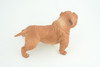 English BullDog,  Brown, Hand Painted, Educational, Museum Quality, Realistic Bull Dog, Solid Rubber, Canine, K9, Diorama, Figure, Toys, Kids, Gift,  5 Inches. CH885 BB201