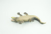 Alligator, American, Hand Painted, Museum Quality, Solid Rubber Animal, Educational, Realistic, Figure, Toy, Kids, Replica, Gift,   7 Inches.  CH888 BB202