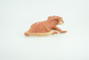 Crested Gecko, Eyelash Gecko, Museum Quality, Educational, Hand Painted, Rubber Lizard, Realistic Reptile, Diorama, Toy, Kids, Gift,   5 1/2 Inches.  CH902 BB202