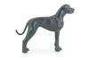 Great Dane Dog, Hand Painted, Educational, Museum Quality, Realistic, Rubber Canine, K9, Diorama, Figure, Toys, Kids, Gift, 5 Inches. CH903 BB202