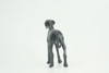 Great Dane Dog,  Hand Painted, Educational, Museum Quality, Realistic, Rubber Canine, K9, Diorama, Figure, Toys, Kids, Gift,  5 Inches. CH903 BB202