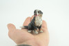 Bernese Mountain Dog, Hand Painted, Educational, Museum Quality, Realistic, Rubber Canine, K9, Diorama, Figure, Toys, Kids, Gift, 2 3/4 Inches. CH907 BB203