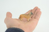 Maltese Dog, Hand Painted, Educational, Museum Quality, Realistic, Rubber Canine, K9, Diorama, Figure, Toys, Kids, Gift, 2 Inches. CH914 BB204