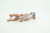 Boxer Dog, Hand Painted, Educational, Museum Quality, Realistic, Rubber Canine, K9, Diorama, Figure, Toys, Kids, Gift,  2 1/2 Inches. CH916 BB204