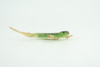 Lizard, Green Rock Lizard, Arribas, Museum Quality, Hand Painted, Rubber Reptile, Realistic Toy Figure, Model, Replica, Kids, Educational, Gift,     5 Inches.   CH929 BB204