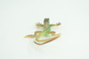 Lizard, Green Rock Lizard, Arribas, Museum Quality, Hand Painted, Rubber Reptile, Realistic Toy Figure, Model, Replica, Kids, Educational, Gift,     5 Inches.   CH929 BB204