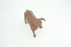 Fighting Bull, Spanish, Museum Quality, Hand Painted, Educational, High Quality Rubber Cow, Realistic, Diorama, Toys, Kids, Gift,    5 1/2 Inches.  CH936 BB206 
