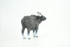 Gaur Bull, Black, Museum Quality, Hand Painted, Educational, High Quality Rubber Cow, Realistic, Diorama, Toys, Kids, Gift,    6 Inches.  CH937 BB206 