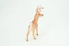 White-tailed Deer, Buck, Male, Museum Quality, Educational, Hand Painted, Rubber Animal, Realistic, Diorama, Toy, Kids, Gift,   4  Inches.  CH943 BB208 