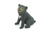 Sun Bear Cub, Sitting, Museum Quality, Educational, Hand Painted, Rubber Animal, Realistic, Diorama, Very Nice Design, Toys, Kids, Gift, 2 1/4 Inches. CH951 BB209