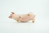 Pig, Sow, Museum Quality, Educational, Hand Painted, Rubber Animal, Female Pig, Realistic, Diorama, Very Nice Design, Toy, Kids, Gift,  3 1/2  Inches.  CH954 BB209 