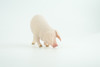 Pig, Sow, Museum Quality, Educational, Hand Painted, Rubber Animal, Female Pig, Realistic, Diorama, Very Nice Design, Toy, Kids, Gift,  3 1/2  Inches.  CH954 BB209 