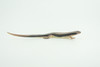 Lizard, Wall Skink, Hand Painted, Museum Quality, Educational, Rubber Reptile, Realistic, Diorama, Very Nice Design, Toys, Kids, Gift,   4 Inches.  CH955 BB209 