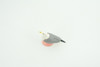 Seagull, Kittiwake, Hand Painted, Educational, Hard Rubber Bird, Realistic, Diorama, Very Nice Design, Toys, Kids, Gift,   1 1/2 Inches.  CH956 BB209 