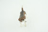 Beagle Dog, Hand Painted, Educational, Museum Quality, Rubber Canine, K9, Realistic, Diorama, Figure, Toys, Kids, Gift,  2 1/2  Inches.  CH958 BB209 