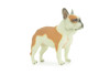 French Bulldog, Bull Dog, Hand Painted, Educational, Museum Quality, Rubber Canine, K9, Realistic, Diorama, Figure, Toys, Kids, Gift, 3 1/2 Inches. CH962 BB209