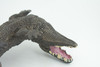 Alligator, American, Hand Painted, Museum Quality, Solid Rubber Crocodile, Reptile, Educational, Realistic, Figure, Toy, Kids, Replica, Gift,   8 Inches.  CH965 BB210