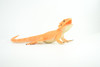 Rock Agama Lizard, (Agama lionotus) Hand Painted, Museum Quality, Solid Rubber Reptile, Educational, Realistic, Figure, Toy, Kids, Gift,  9 Inches.  CH966 BB210