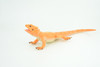 Rock Agama Lizard, (Agama lionotus) Hand Painted, Museum Quality, Solid Rubber Reptile, Educational, Realistic, Figure, Toy, Kids, Gift,  9 Inches.  CH966 BB210