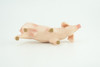 Pig, Male, Hog, Domesticated, Hand Painted, Educational, Museum Quality, Rubber Animal, Realistic, Diorama, Figure, Toys, Kids, Gift,  4 Inches.  CH975 BB213 