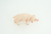 Pig, Male, Hog, Domesticated, Hand Painted, Educational, Museum Quality, Rubber Animal, Realistic, Diorama, Figure, Toys, Kids, Gift,  4 Inches.  CH975 BB213 