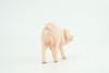 Pig, Male, Hog, Domesticated, Hand Painted, Educational, Museum Quality, Rubber Animal, Realistic, Diorama, Figure, Toys, Kids, Gift,  4 Inches.  CH975 BB213 