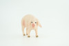 Pig, Male, Hog, Domesticated, Hand Painted, Educational, Museum Quality, Rubber Animal, Realistic, Diorama, Figure, Toys, Kids, Gift,  4 Inches.  CH975 BB213 
