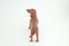 Dachshund Dog, Brown, Hand Painted, Educational, Museum Quality, Rubber Canine, K9, Realistic, Diorama, Figure, Toys, Kids, Gift,  6 Inches.  CH979 BB213 