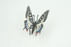 Butterfly Life Cycle,  4 Piece Set, Hand Painted, Educational, High Quality Rubber Insect, Realistic, Diorama, Figure, Toys, Kids, Gift,  3  Inches.   CH982 BB214
