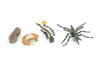 Mosquito Life Cycle, 4 Piece Set, Hand Painted, Educational, High Quality Rubber Insect, Realistic, Diorama, Figure, Toys, Kids, Gift, 3 Inches. CH983 BB214 