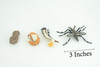 Mosquito Life Cycle, 4 Piece Set, Hand Painted, Educational, High Quality Rubber Insect, Realistic, Diorama, Figure, Toys, Kids, Gift, 3 Inches. CH983 BB214 